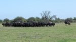 El tesoro del agro en Uruguay, en un año de festejo, se juega su futuro