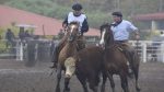 Todo listo para que en la Rural del Prado arranque el "Mundial de Caballos Criollos"