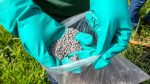 Crisis de precios y disrupciones en el comercio de fertilizantes preocupa a actores del sector agroalimentario
