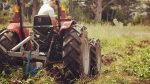 La agroecología, una silenciosa revolución verde