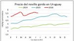 Mejora gradual de la faena de vacunos e indicios de aumento en los precios del ganado