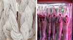 Ingresos por exportaciones del rubro ovino crecieron 40% con fuerte empuje de lanas y carne