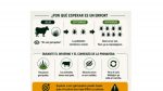 El MGAP informó una nueva recomendación para el mejor control de la garrapata bovina