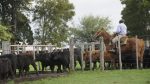 Los números detrás de la inversión récord en el sector agropecuario
