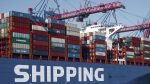 Carne bovina, celulosa y lácteos explican casi la mitad de todos los ingresos por exportaciones de bienes